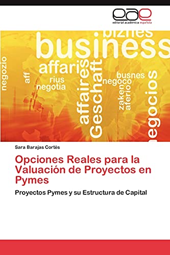 Opciones Reales para la Valuación de Proyectos en Pymes: Proyectos Pymes y su Estructura de Capital