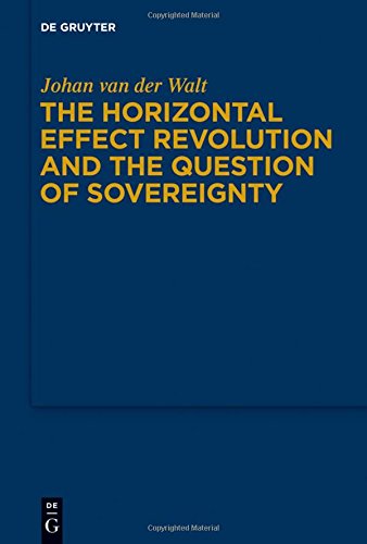 The Horizontal Effect Revolution and the Question of Sovereignty