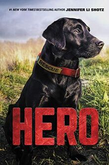 Hero (Hero, 1)