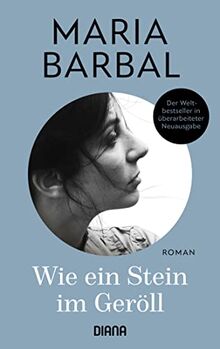 Wie ein Stein im Geröll: Roman - der katalanische Weltbestseller in überarbeiteter Neuausgabe