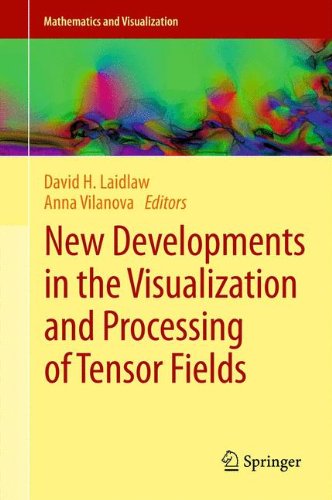 New Developments in the Visualization and Processing of Tensor Fields (Mathematics and Visualization)