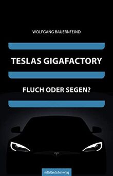 Teslas Gigafactory: Fluch oder Segen?