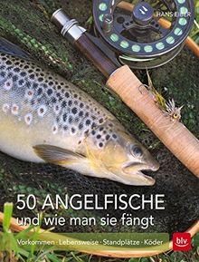 50 Angelfische und wie man sie fängt: Vorkommen | Lebensweise | Standplätze | Köder