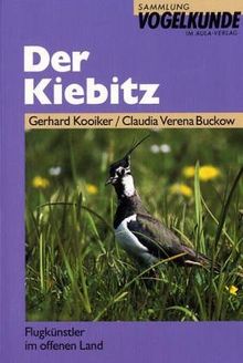 Der Kiebitz