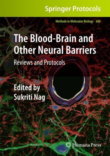 The Blood-Brain and Other Neural Barriers: Reviews and Protocols (Methods in Molecular Biology, 686, Band 686)