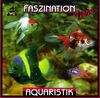 Aquaristik (Faszination Tiere)