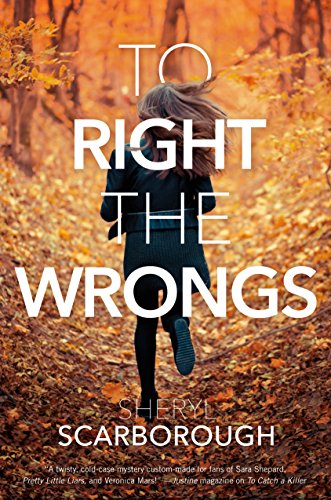 To Right the Wrongs (Erin Blake)