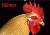 Hühner/Geburtstagskalender (Wandkalender immerwährend DIN A2 quer)