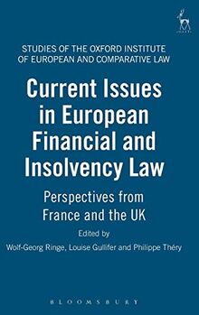 CURRENT ISSUES IN EUROPEAN FIN: Perspectives from France and the UK (Studies of the Oxford Institute of European and Comparative Law, Band 11)