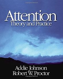 Attention: Theory and Practice