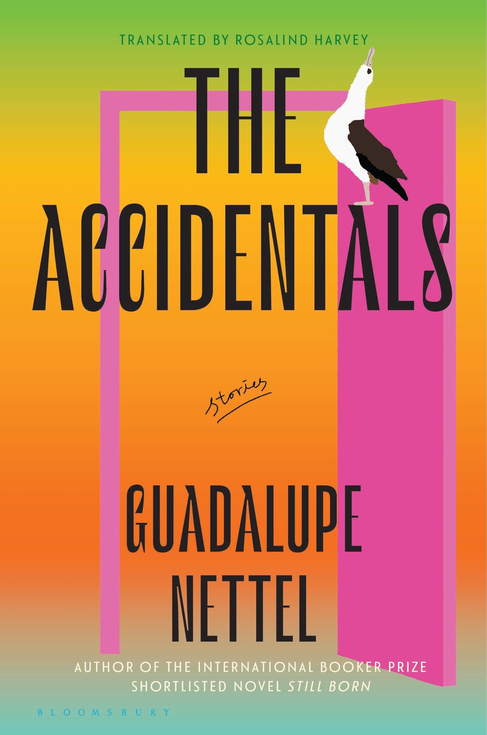 Guadalupe Nettel The Accidentals, Stories