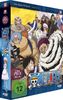 One Piece - TV-Serie - Vol. 29 - [DVD]