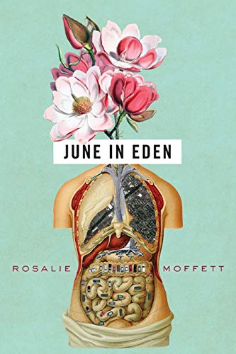 June in Eden (OSU JOURNAL AWARD POETRY)