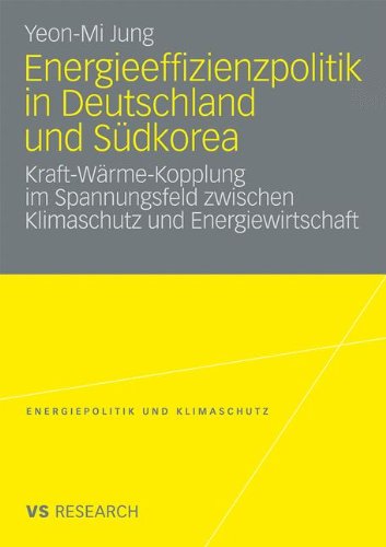 Energieeffizienzpolitik in Deutschland und Südkorea: Kraft-Wärme-Kopplung im Spannungsfeld zwischen Klimaschutz und Energiewirtschaft (Energiepolitik und Klimaschutz)