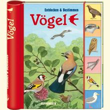 Entdecken und Bestimmen: Vögel