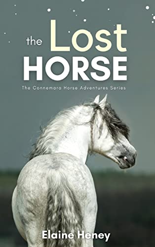 The Lost Horse - Book 6 in the Connemara Horse Adventure Series for Kids | The Perfect Gift for Children (Connemara Pony Adventures, Band 6)