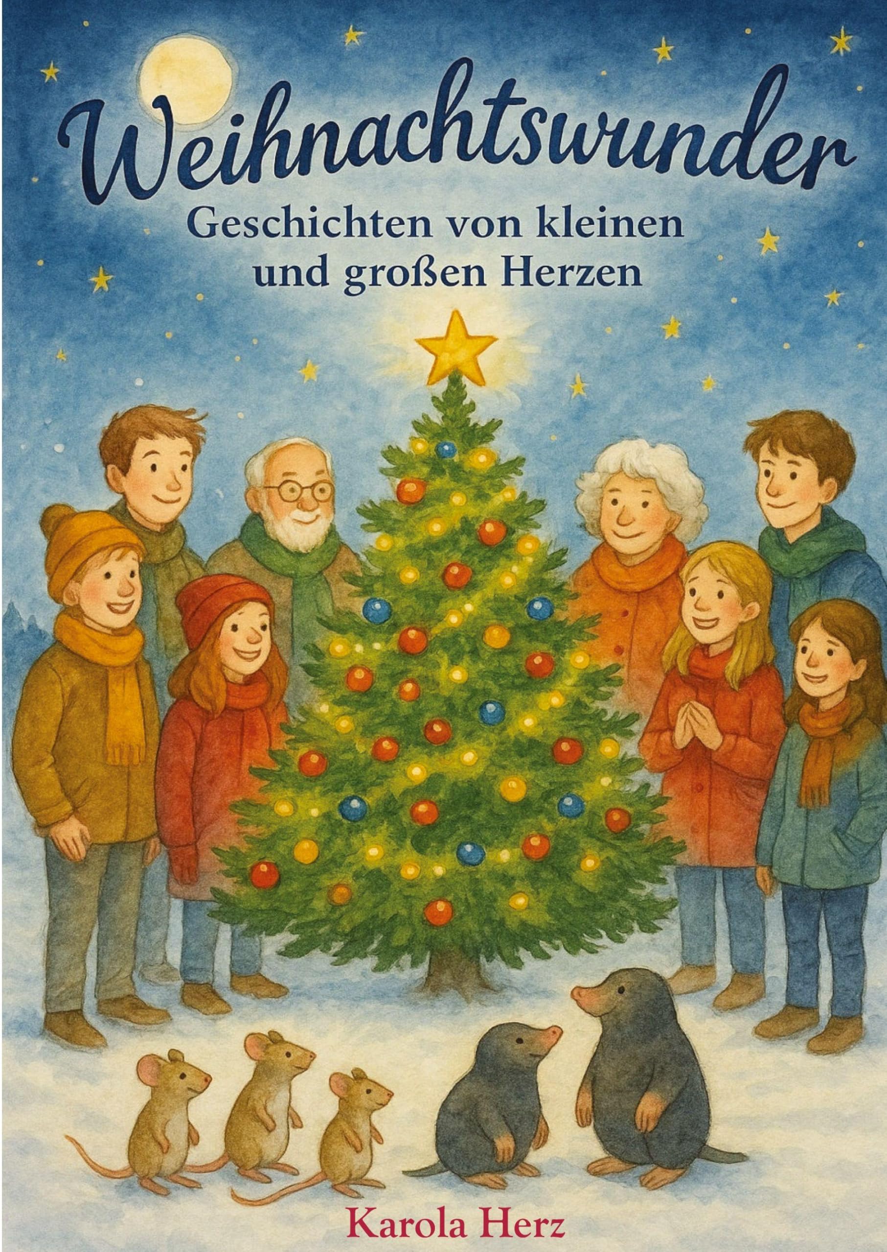 Weihnachtswunder: Geschichten von kleinen und großen Herzen