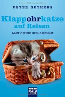 Klappohrkatze auf Reisen: Kater Nortons neue Abenteuer