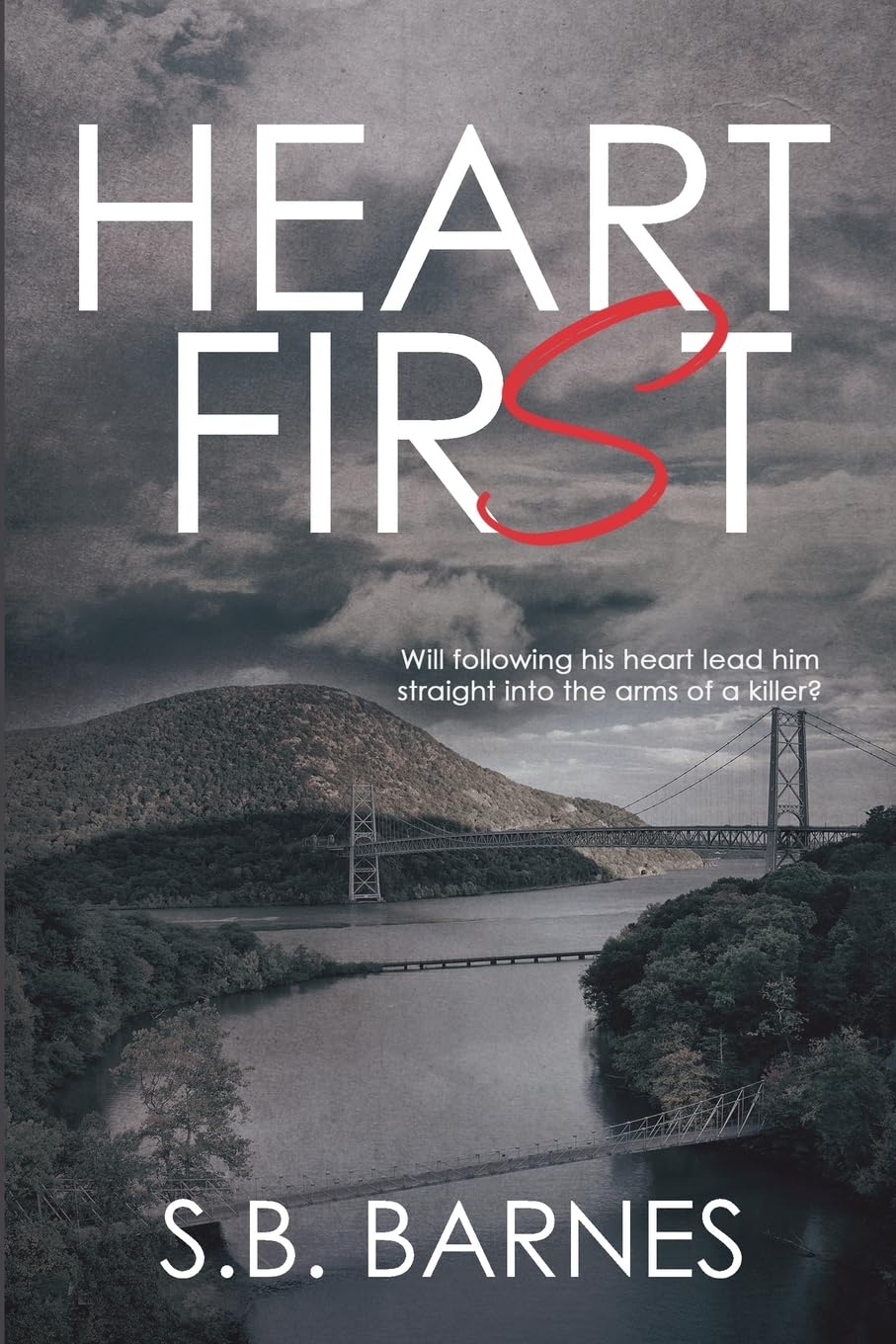 Heart First (Hudson Valley Murder Mysteries, Band 1)