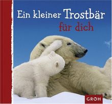 Ein kleiner Trostbär für dich