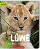 So lebt der Löwe: Eine Bilderreise durch die Wildnis (Nature Zoom)