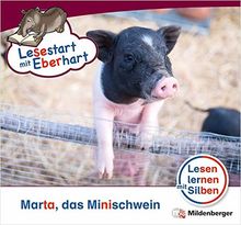 Lesestart mit Eberhart: Marta das Minischwein: Themenhefte für Erstleser, Lesestufe 5 (Lesestart mit Eberhart / Lesen lernen mit Silben - Themenhefte für Erstleser - 5 Lesestufen - je 10 Hefte)