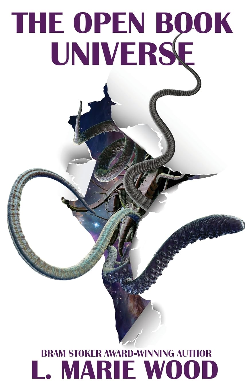 The Open Book Universe