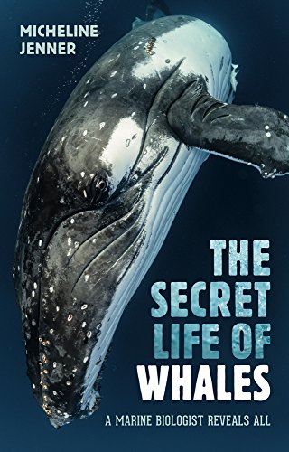 Micheline Jenner The Secret Life Of Whales