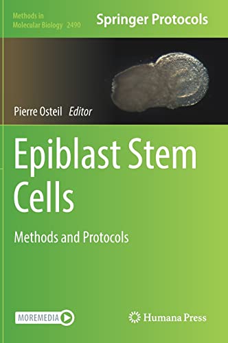 Epiblast Stem Cells: Methods and Protocols (Methods in Molecular Biology, 2490, Band 2490)