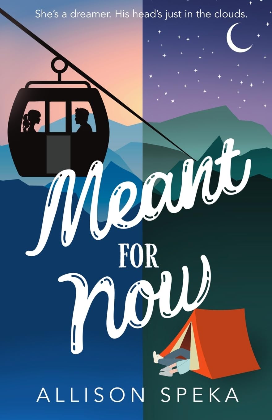 Meant for Now (The Love Linked Series, Band 3)