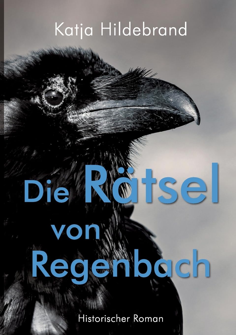 Die Rätsel von Regenbach: Historischer Roman