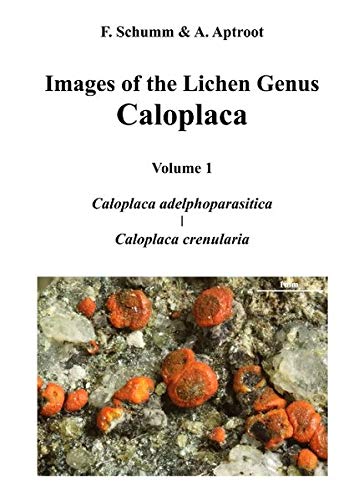 Images of the Lichen Genus Caloplaca, Vol 1: Caloplaca adelphoparasitica, Caloplaca crenularia