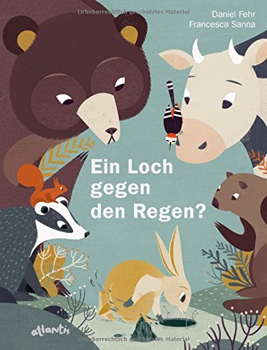 Ein Loch gegen den Regen? - Daniel Fehr Gebunden