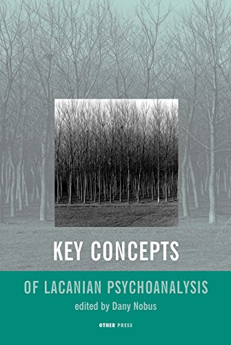 Key Concepts of Lacanian Theory: The Other Press, 377 W 11th Street, New York, NY, Us