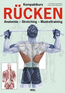 Kompaktkurs Rücken: Anatomie - Stretching - Muskeltraining