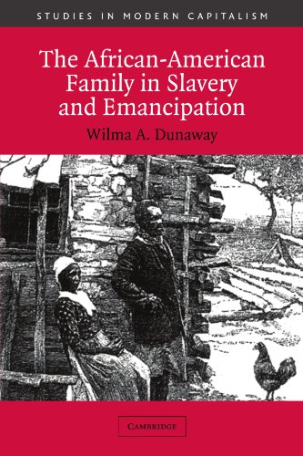 The African-American Family in Slavery and Emancipation (Studies in Modern Capitalism)