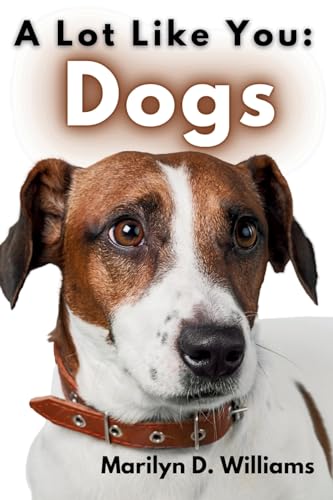 Oelder Buchhandlung – Lange Str, 59302 Oelde