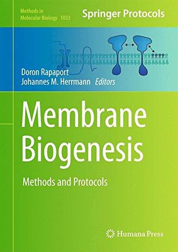 Membrane Biogenesis: Methods and Protocols (Methods in Molecular Biology)