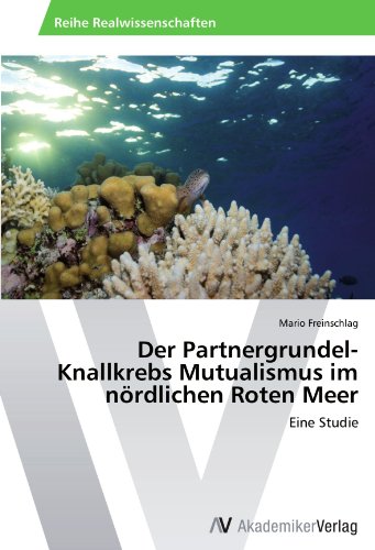 Der Partnergrundel-Knallkrebs Mutualismus im nördlichen Roten Meer: Eine Studie