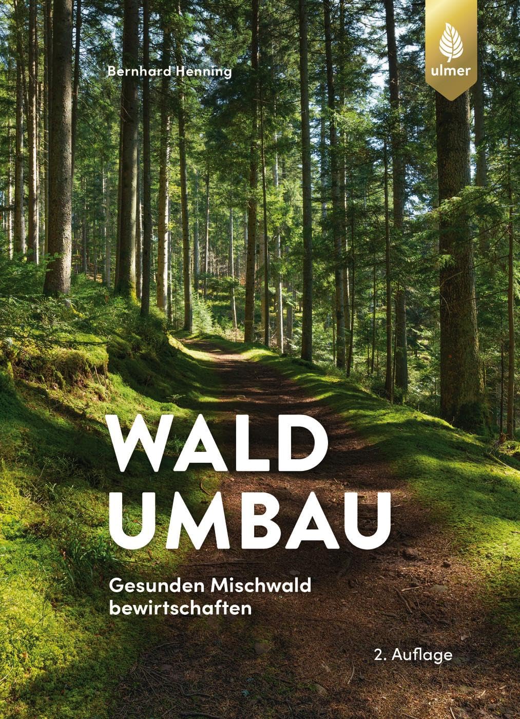 Waldumbau: Gesunden Mischwald bewirtschaften