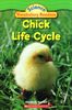 Chick Life Cycle