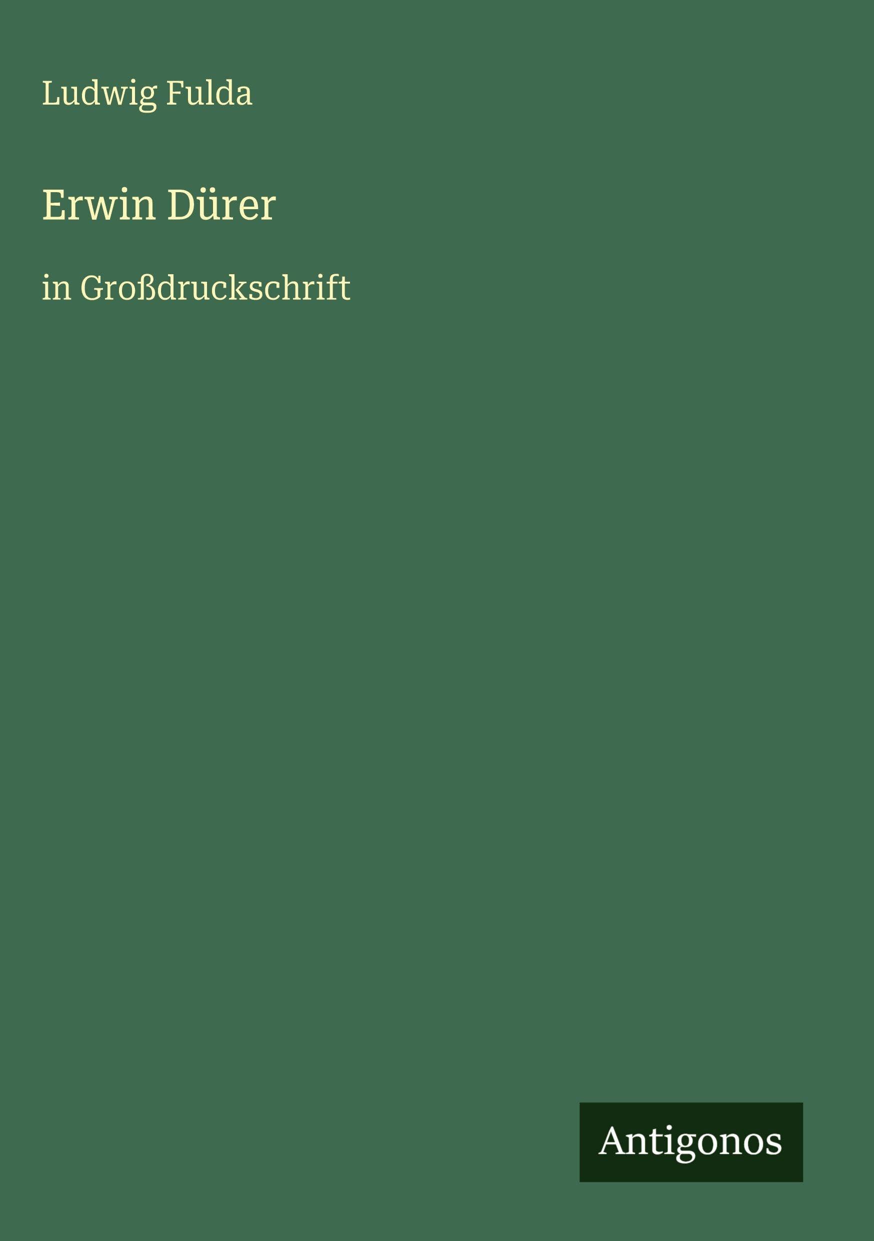 Erwin Dürer: in Großdruckschrift