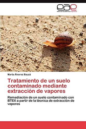 Tratamiento de un suelo contaminado mediante extracción de vapores: Remediación de un suelo contaminado con BTEX a partir de la técnica de extracción de vapores