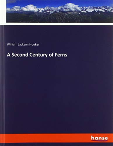 A Second Century of Ferns