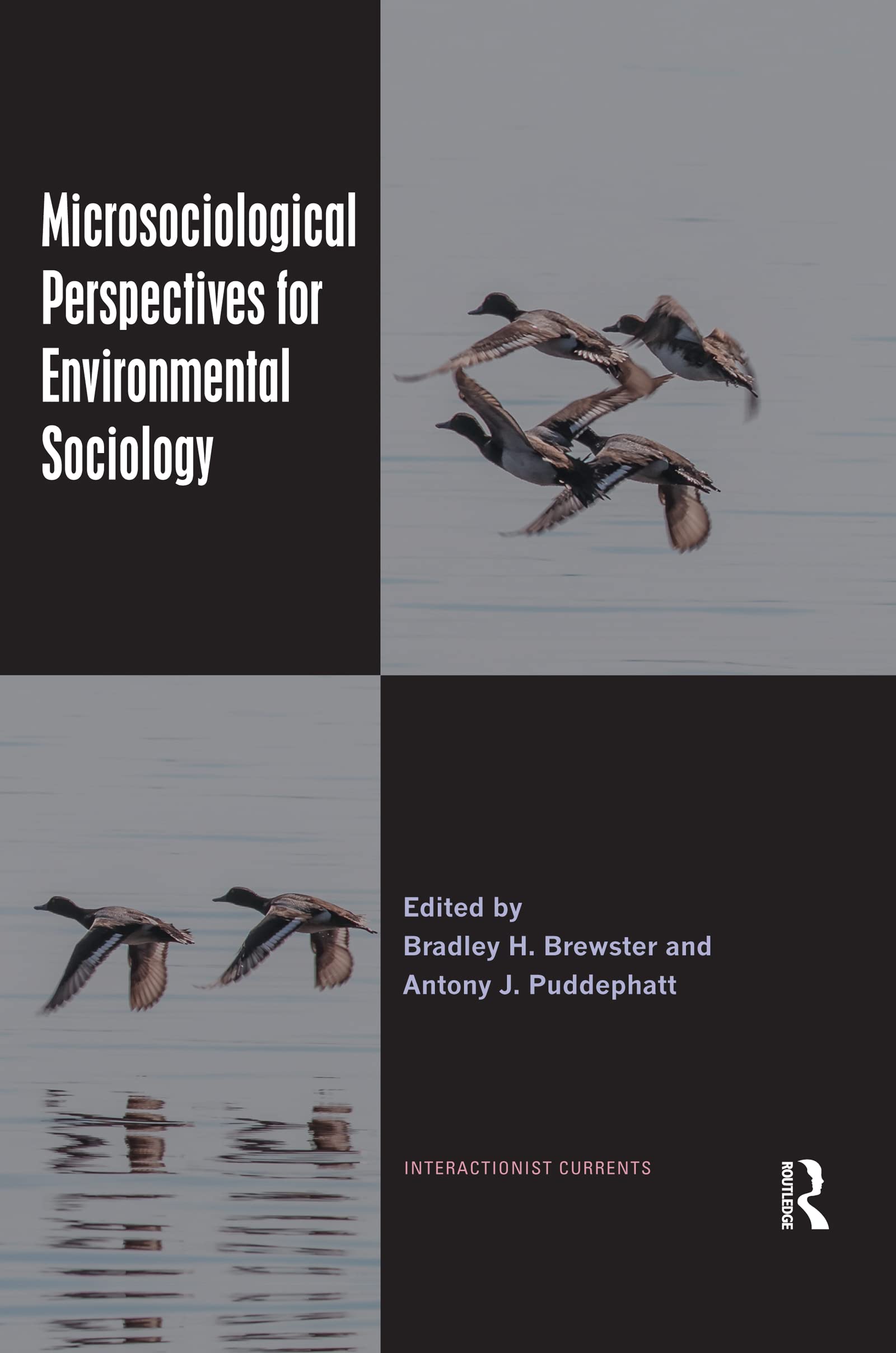 Microsociological Perspectives for Environmental Sociology (Interactionist Currents)