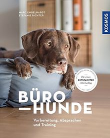 Bürohunde: Vorbereitung, Absprachen und Training