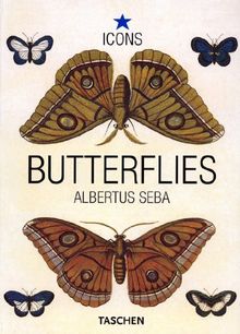 Schmetterlinge (Icons) von Seba, Albertus, Müsch, Irmgard | Buch | Zustand gut
