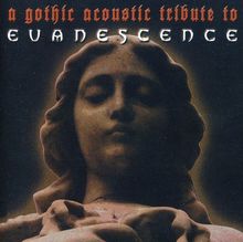 A Gothic Acoustic Tribute to Evanescence