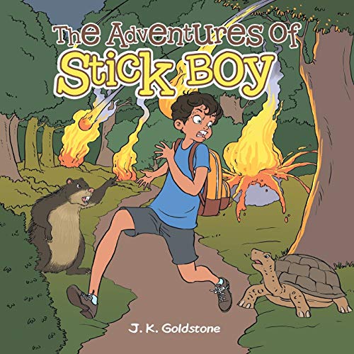 The Adventures of Stick Boy