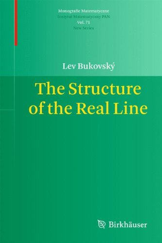 The Structure of the Real Line (Monografie Matematyczne, Band 71)